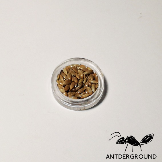 Plateau Repas Antderground Plateau Repas Antderground