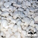 Ghiaia decorativa (100 gr)