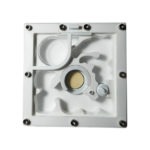 Formicaio con fungo 10 x 10