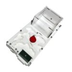 Fourmilière 10 x 20 champignons + éponge avec zone d'alimentation