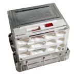 Formicaio verticale con fungo