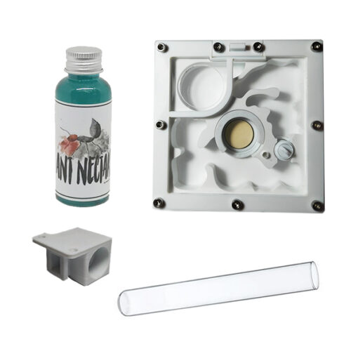 Ant nest initiation kit