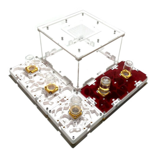 Kit de fourmilières modulaires 3D (XL)