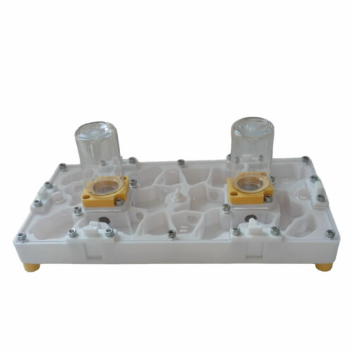 hormigueros modulares 3d