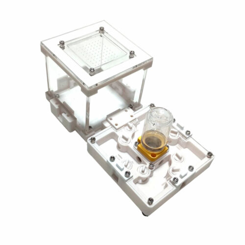 kit hormiguero modular 3d + caja modular