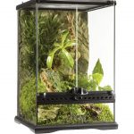 Terrario de cristal Exo Terra