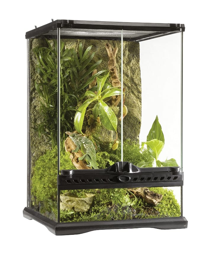 Terrario de cristal Exo Terra