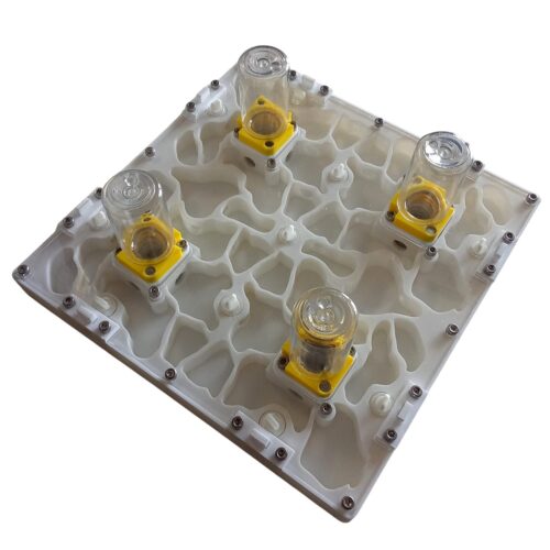 3D Modular Ant Farm (20×20 cm)