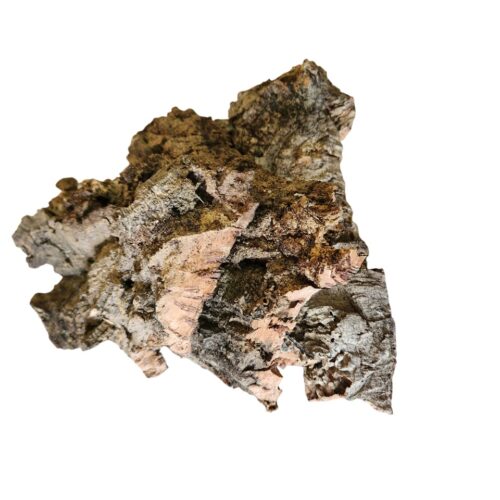 Natural Cork Bark | Terrarium & Foraging Decoration for Isopods and Ants