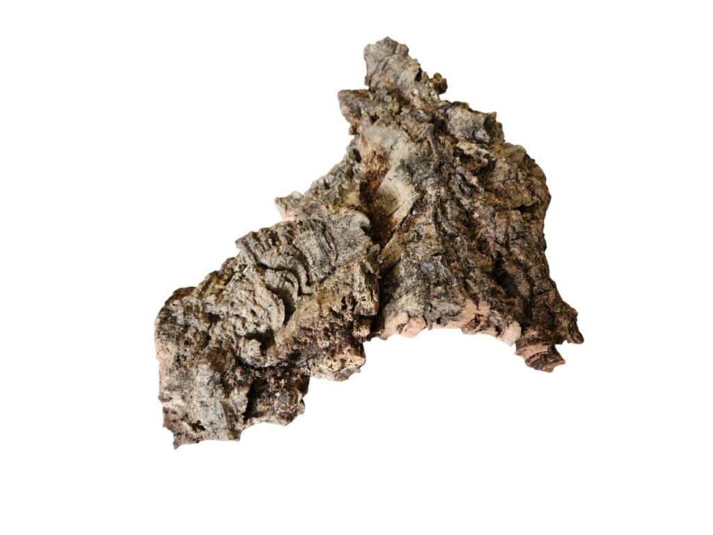 Corteza de Bornizo Natural terrarium perfecta para isopodos y hormigas