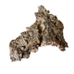 Korkrinde natürlich für Terrarien & Futterzonen
