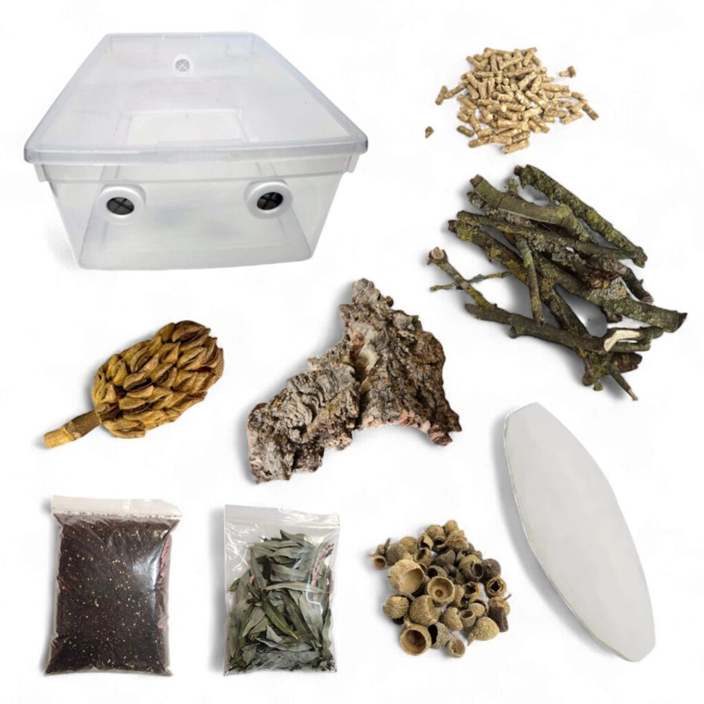 Kit de Cría de Isópodos (Pro)