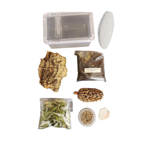 kit inicio para isopodos version 2